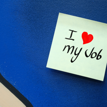 Finding a Job you Love